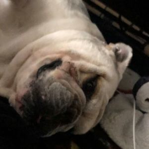 Meet your Posher, Marie